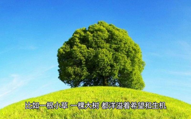 在心中，开一扇晴窗  第1张