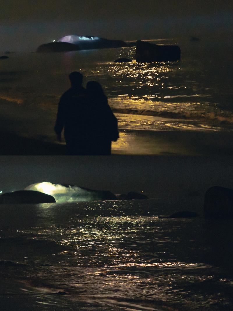 如果可以，我想和你在夜晚的海边走一走  第1张