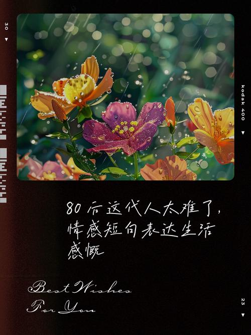 80后感慨人生的句子(心灵感悟)  第1张