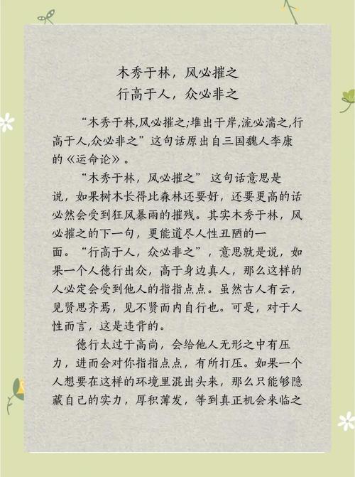 木秀于林，风必摧之，行高于人，众人必非之  第1张