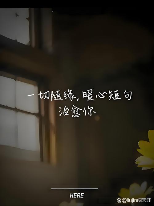 向来缘浅,奈何情深  第1张