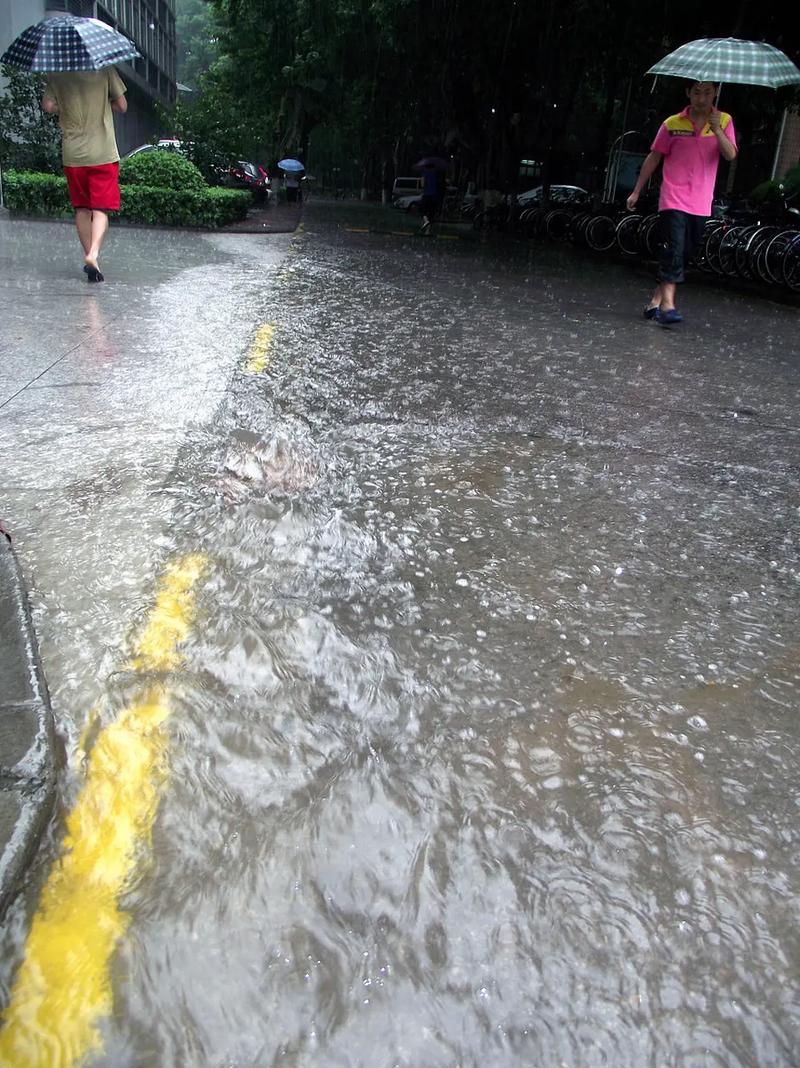 雨，下过  第1张
