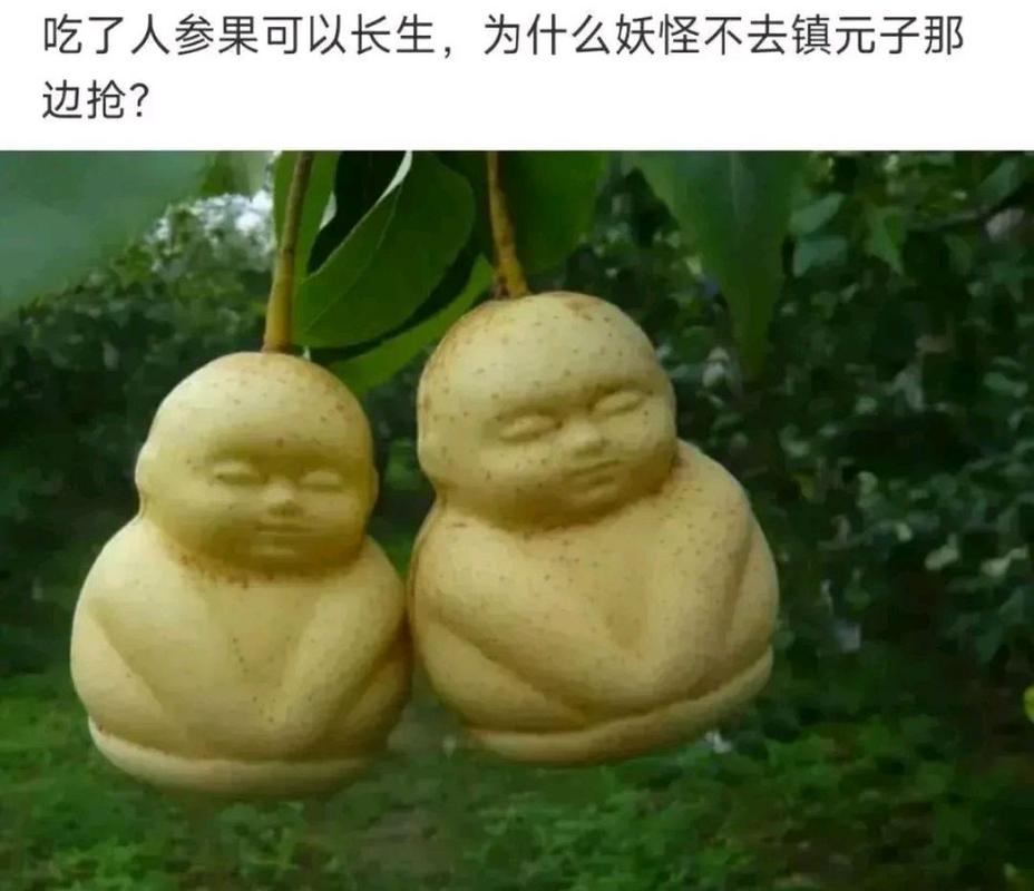 不吃唐僧肉,常吃这些水果照样长生不老  第1张