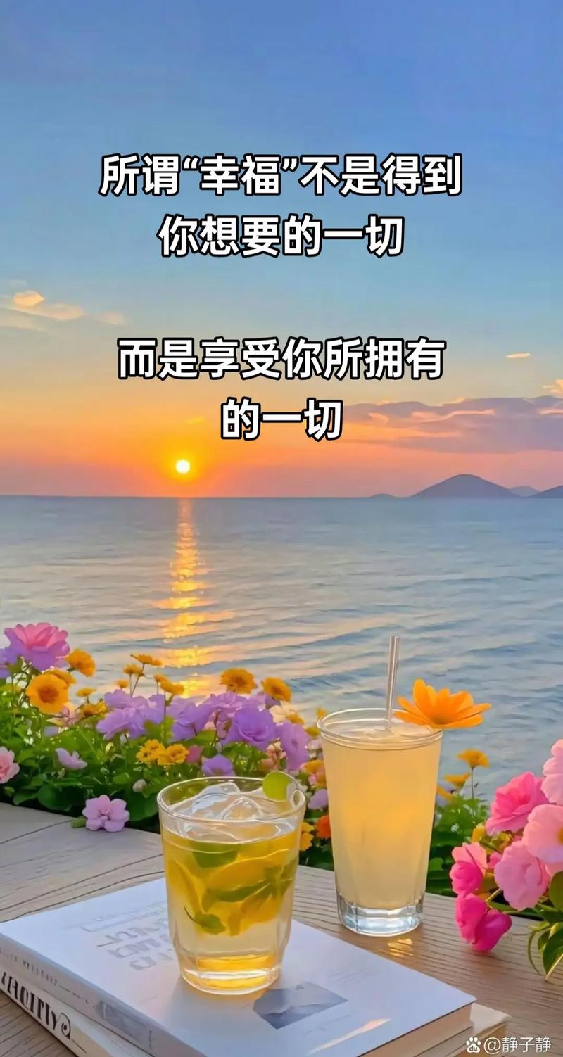 你所谓的幸福  第1张