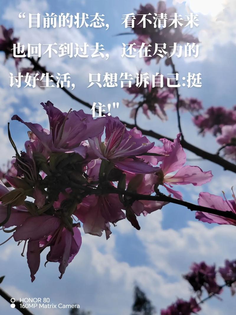 坚强，不是面对悲伤不流泪，而是擦干眼泪后微笑着面对以后的生活  第1张