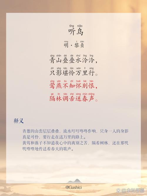 原创诗歌：受伤的鸟——为音乐《受伤的鸟》而写  第1张
