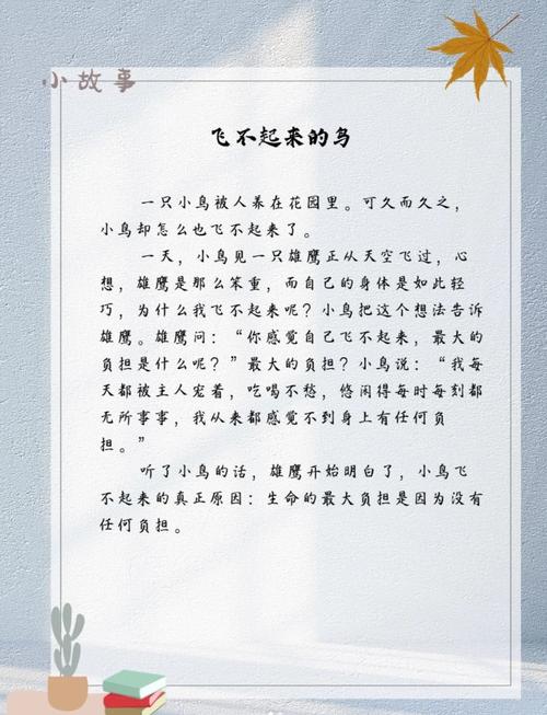 散文：愿小鸟不再受伤  第1张