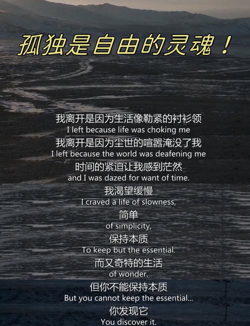 谁不是孤独的生,孤独的死?  第1张