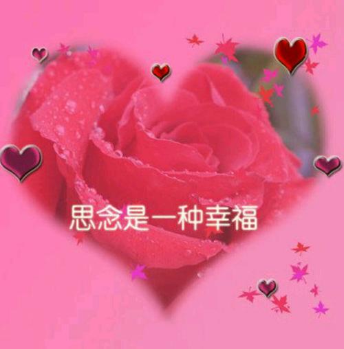 思念是一种幸福  第1张