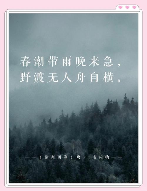 人生风雨路，江天心海潮  第1张