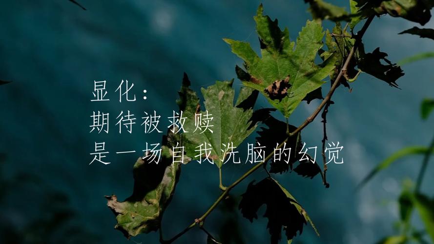 温暖，是心中的一场幻觉  第1张