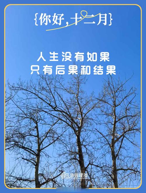 早安励志语录：人生没有如果，只有后果和结果  第1张