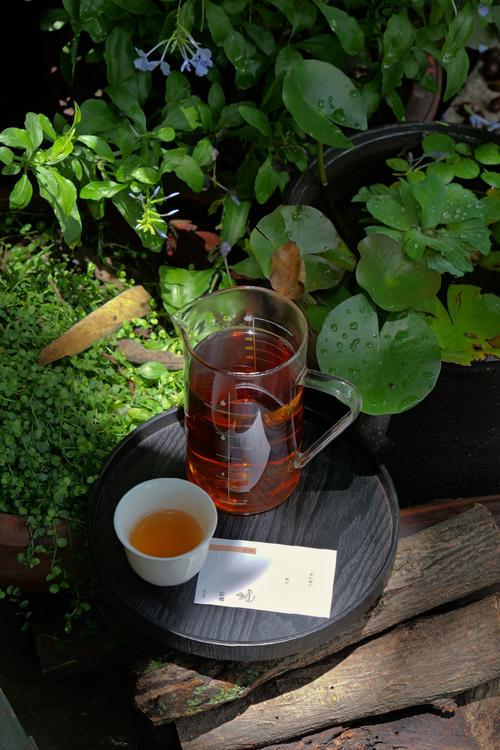 人生最高级的享受：一个院子一杯茶，三餐四季还有你  第1张