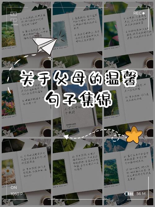 想家的说说的思念之情 想爸妈的句子说说心情  第1张