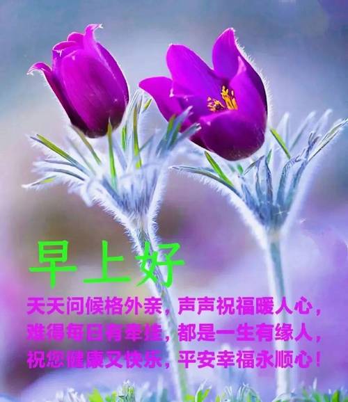 9月8日白露经典美丽的早安问候祝福语句，清晨早上好唯美祝福图片  第1张