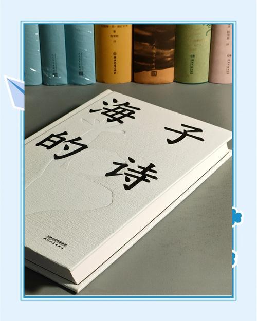 世人读不懂海子  第1张