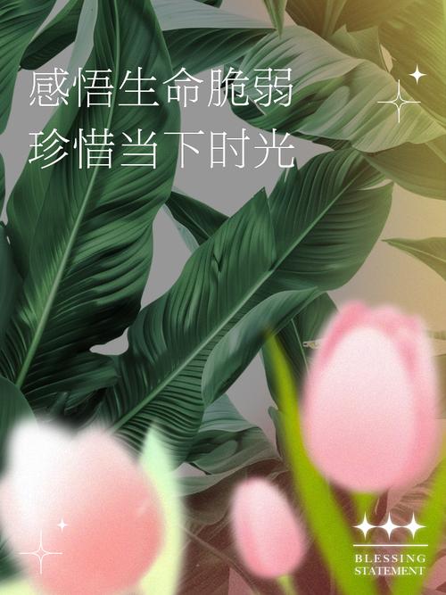 活在当下,珍惜生命,展望未来  第1张