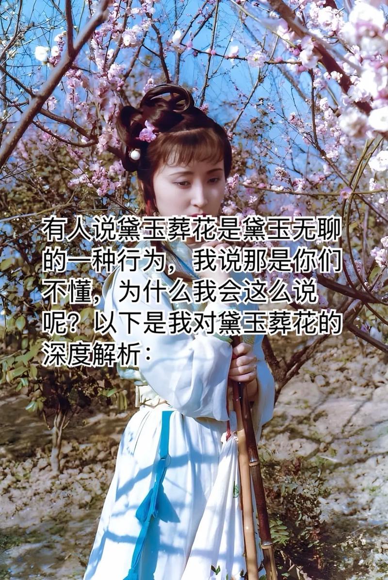 黛玉抹了一把泪（打一人名）  第1张