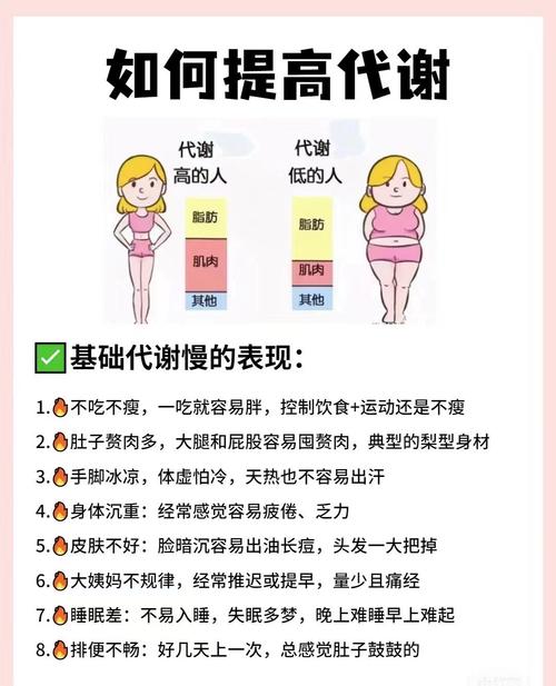 掌握秘诀，速成瘦身（打一商业词语）  第1张