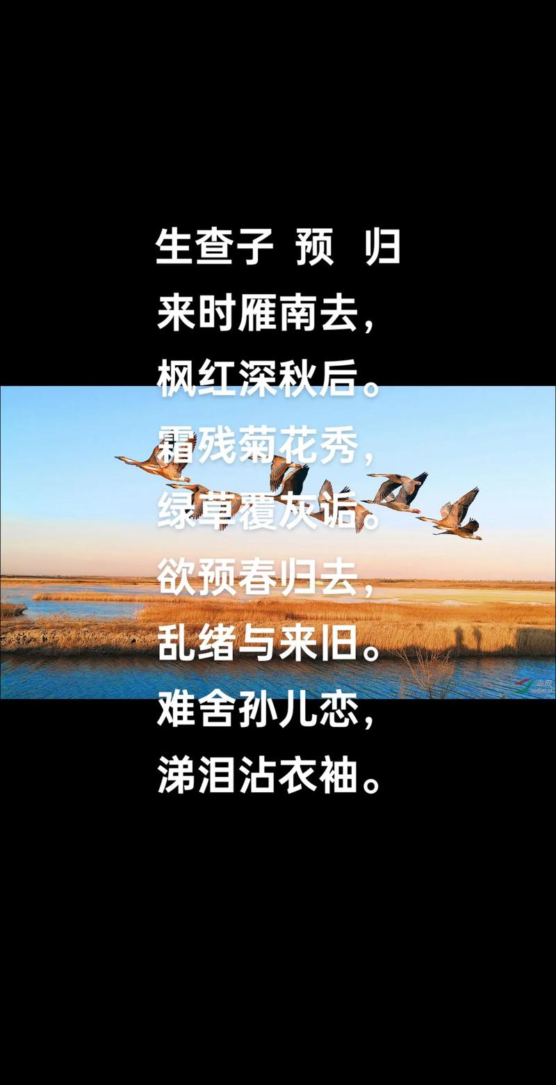 别后重逢几度春 （打一字）  第1张