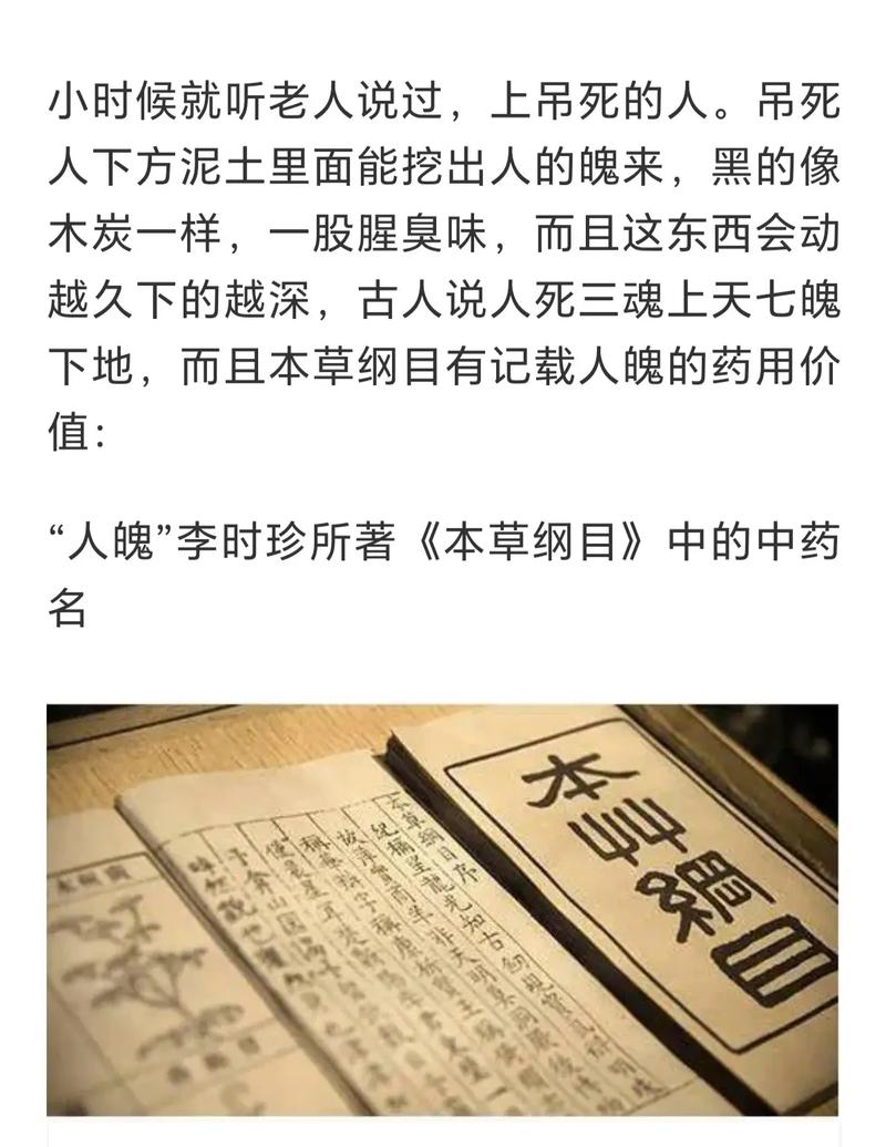 魂魄先后空 （打中药名一）  第1张