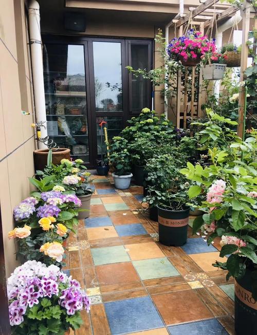 我爱我的小花园，在方寸天地间尽情享受种植的乐趣  第1张