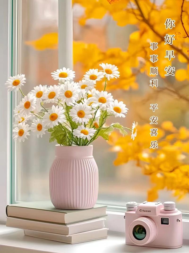 不落俗套的早安短句，温暖治愈，你最喜欢哪句  第1张