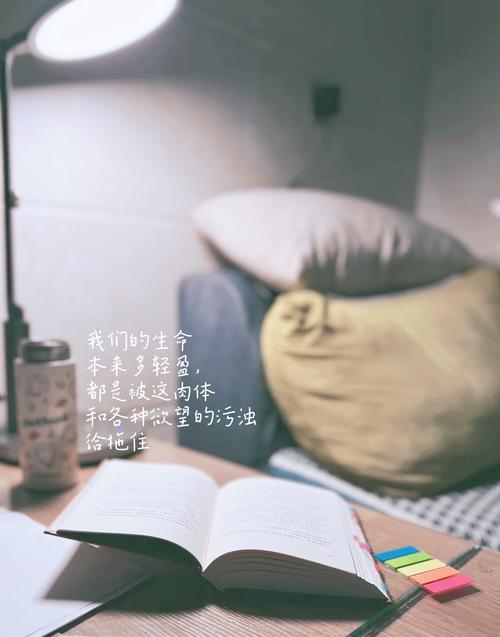 《皮囊》最经典10句话：字字珠玑，成年人的世界没有“容易”二字  第1张