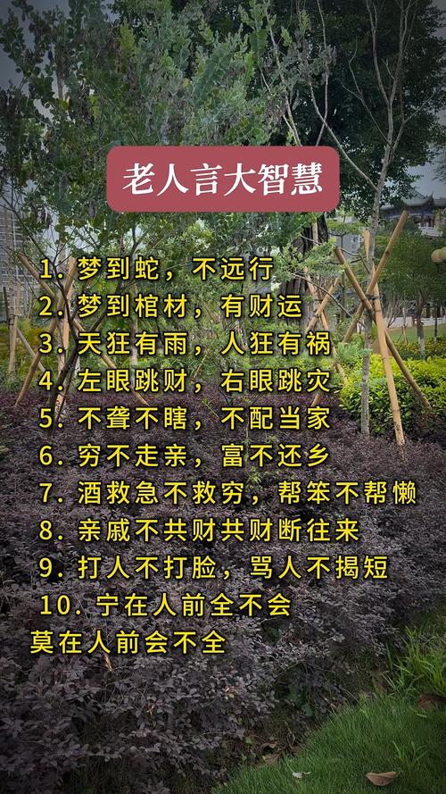 老人言， 流传千年的大智慧，让人受益一生！  第1张