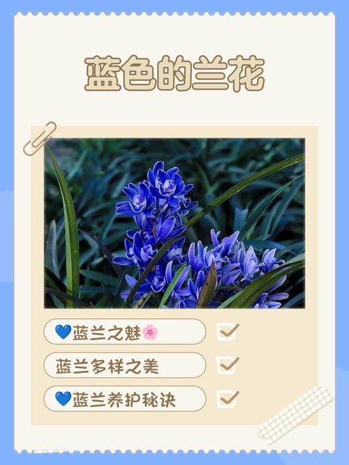 花花草草也是爱，万花盛绽见天蓝  第1张