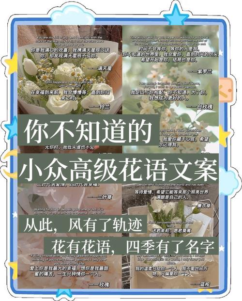 20句高级的小众文案短句  第1张