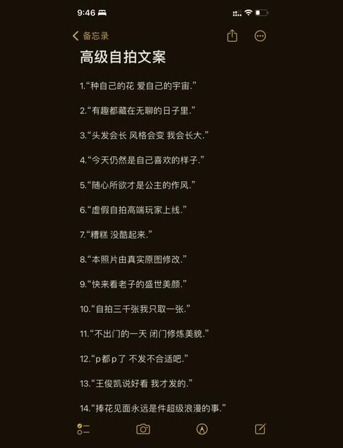 天花板级自拍文案句子  第1张