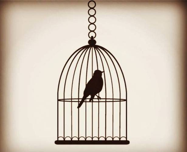 我是一只被囚禁的鸟，天边那抹晚霞，给了我飞向自由的翅膀  第1张