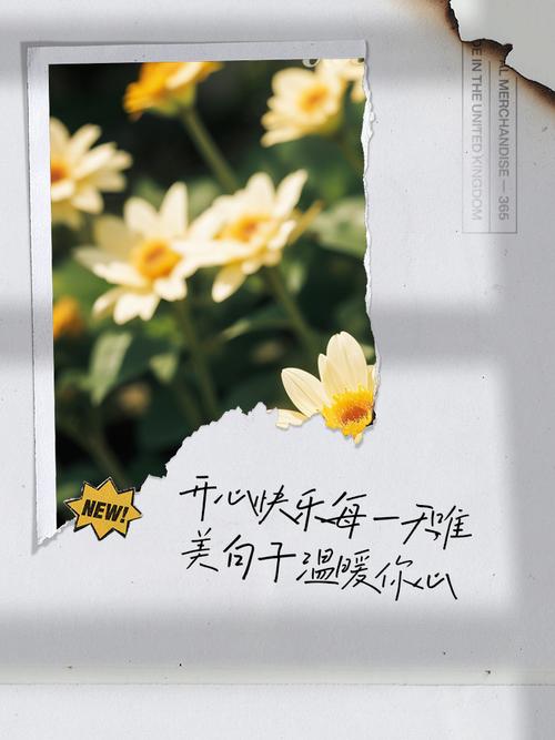 开开心心看句子，快快乐乐每一天  第1张