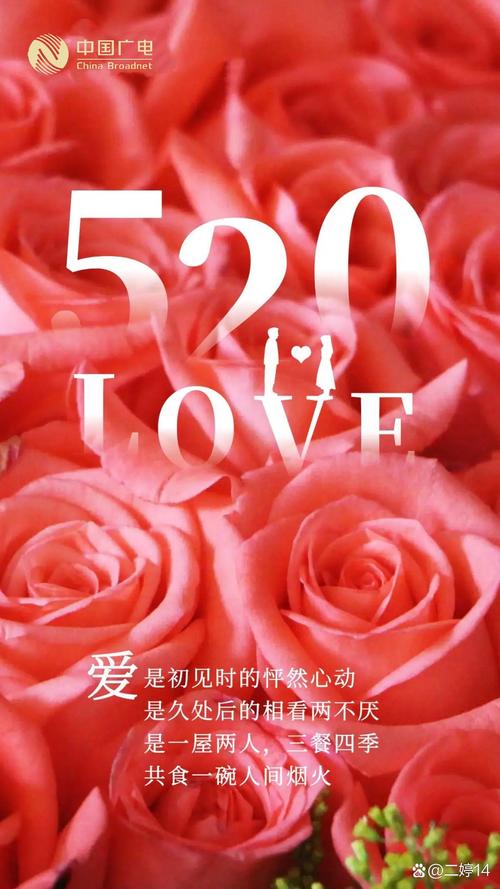 "520：一个数字，一个回忆，一个爱情故事"  第1张