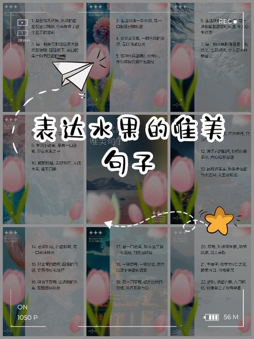 果子语录：一百一十六  第1张