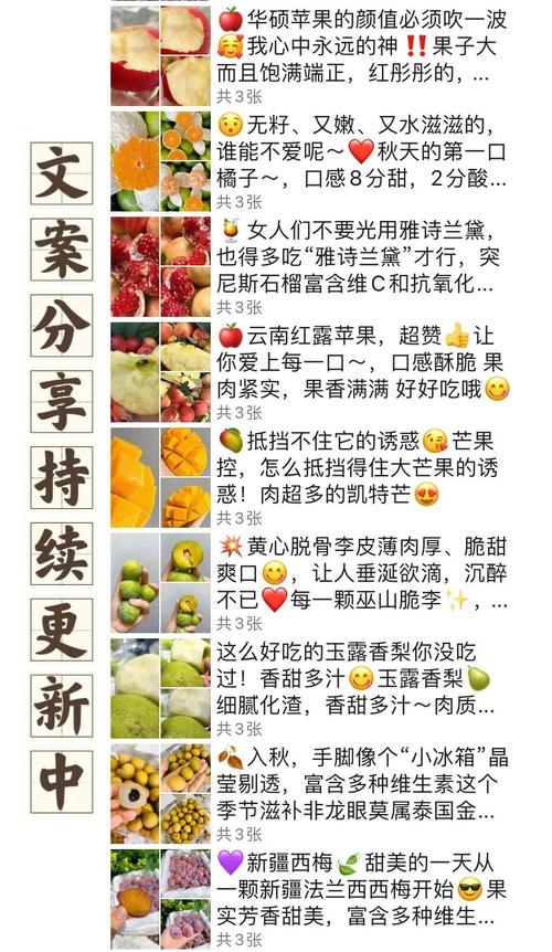 果子语录：一百零二  第1张