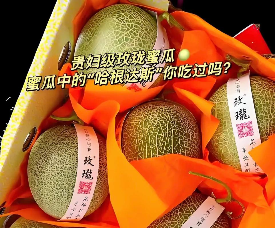 一张小网高高挂，生来专装西瓜，一共装了千万次，一个瓜儿没留下。 （打一物）  第1张