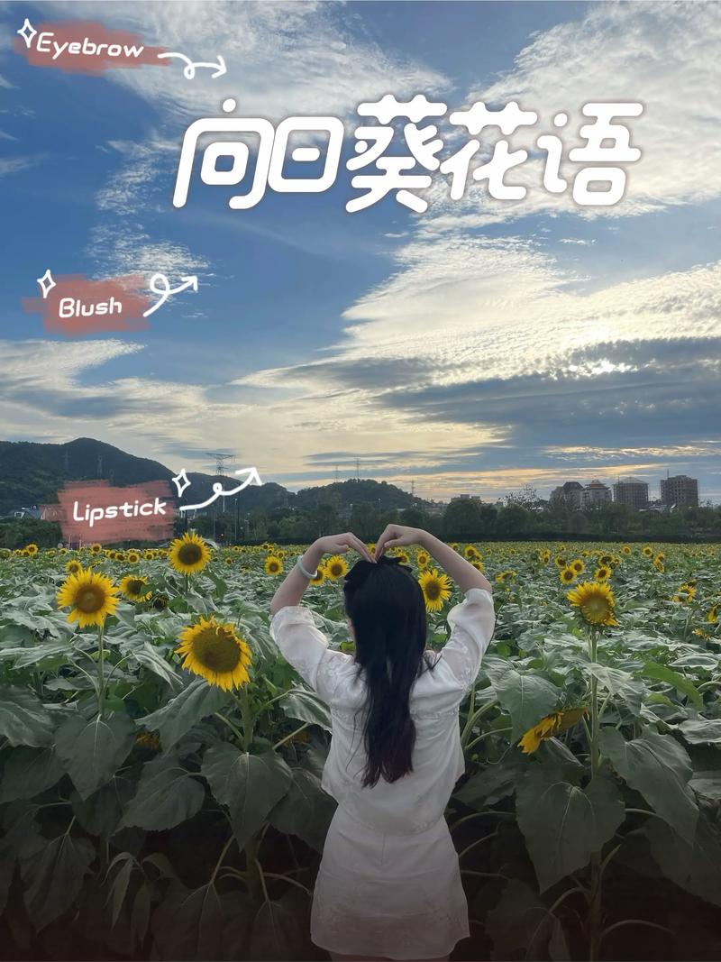 向阳而生，自有海阔天空，万千繁花  第1张