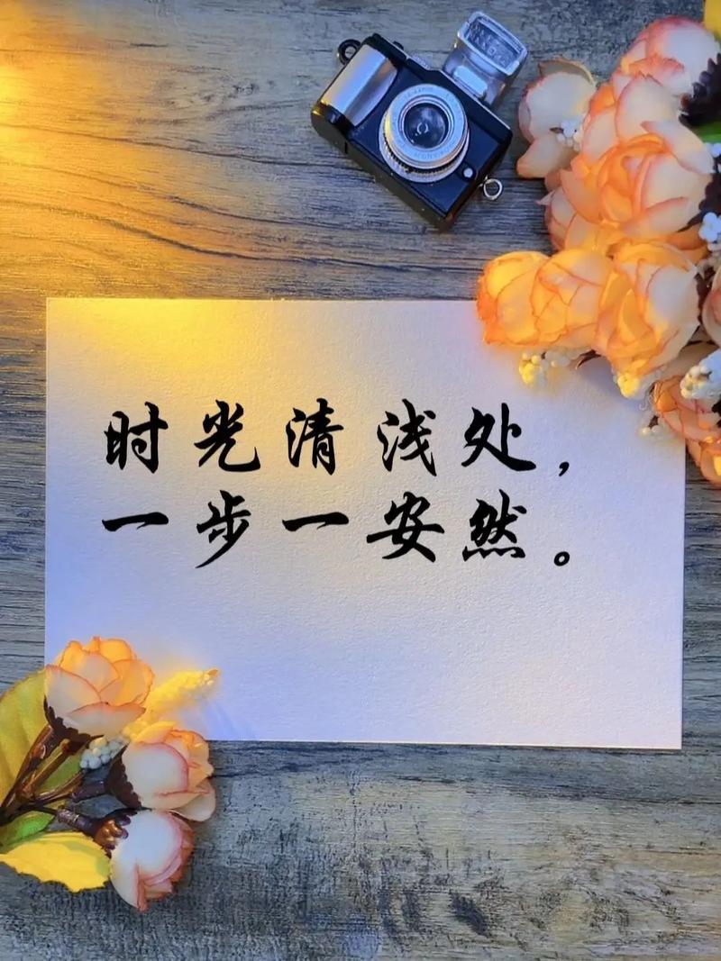 时光不待人，一步一清浅，惊艳了岁月，唯美了曾经  第1张