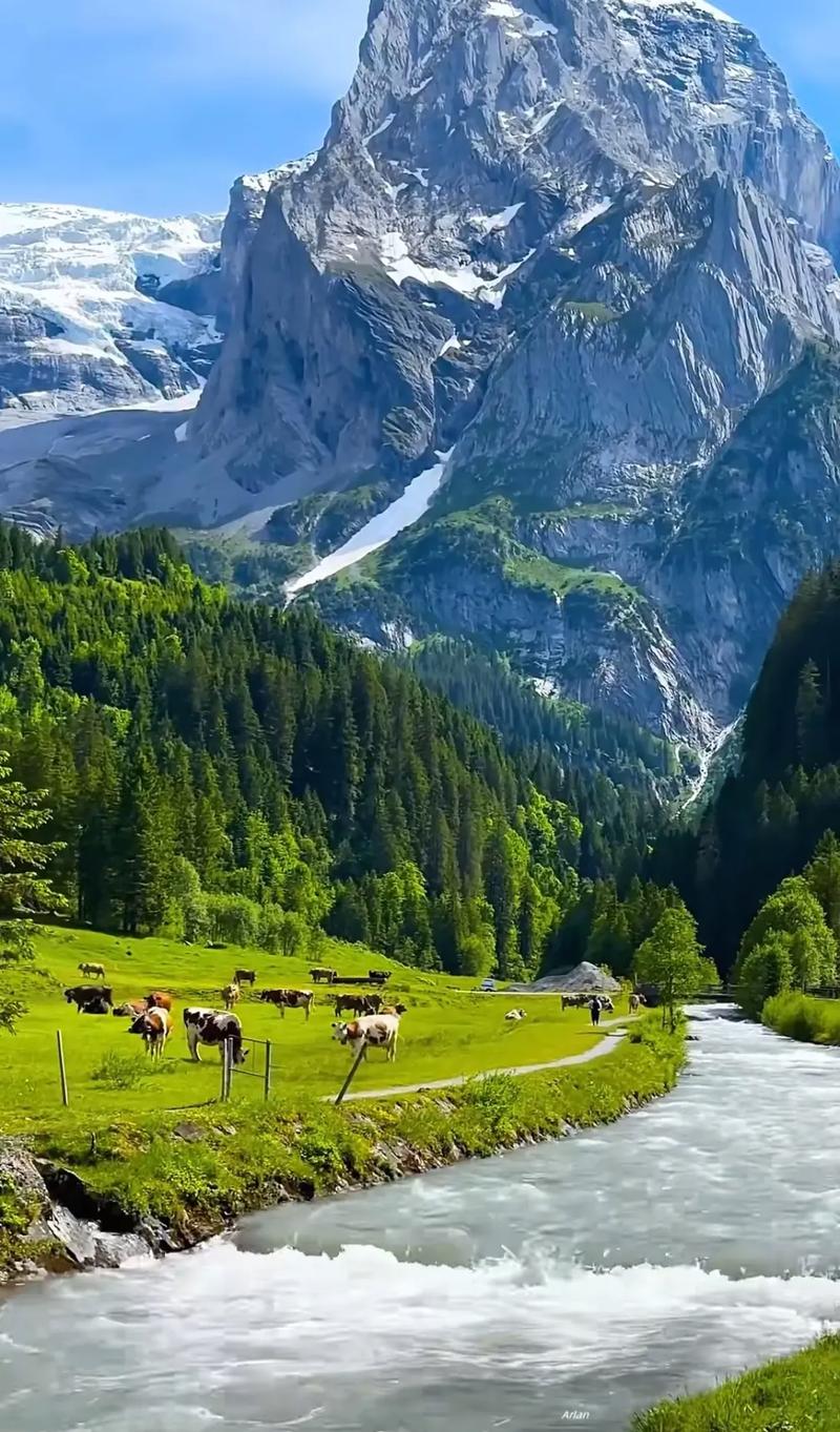 近处有风景，何须去远游  第1张