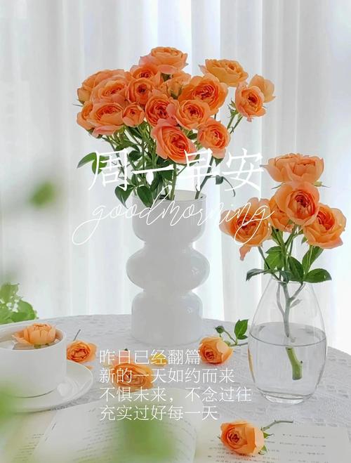 文案｜人生感悟正能量经典语录  第1张