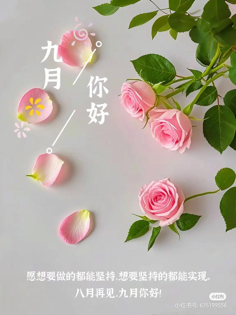 九月，你好！与你共赏人间最美清秋  第1张