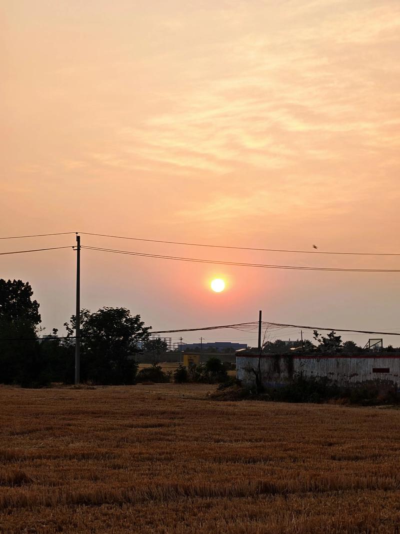 黄昏一人抵村头 （打一字）  第1张