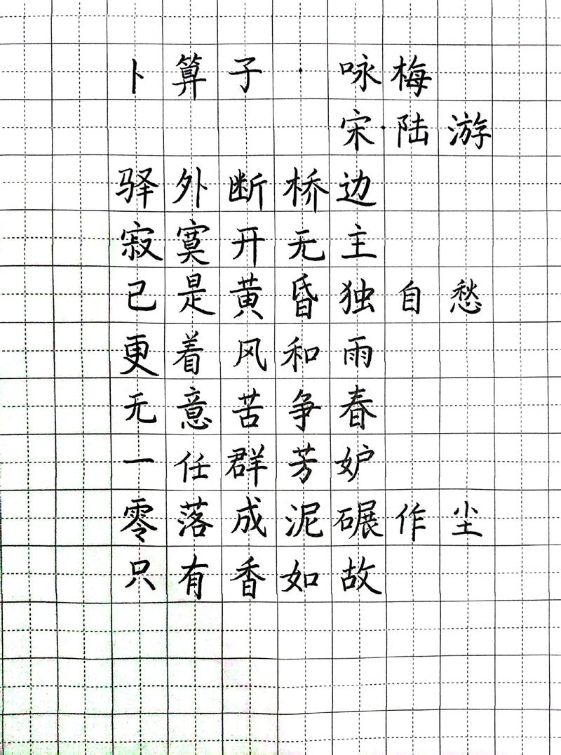 疏梅半放 （打一字）  第1张