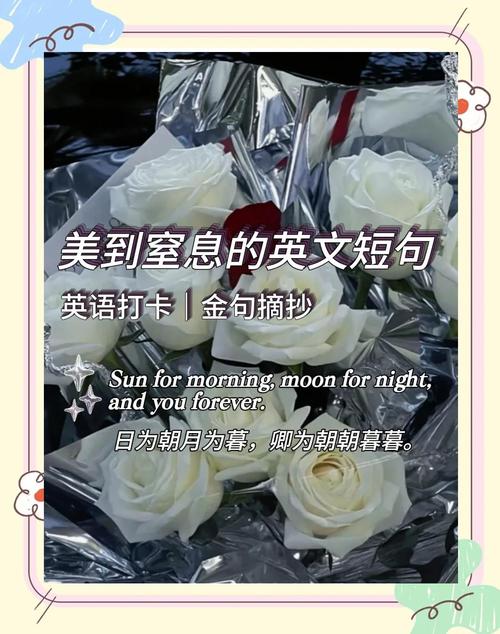 简单却唯美的英语句子  第1张