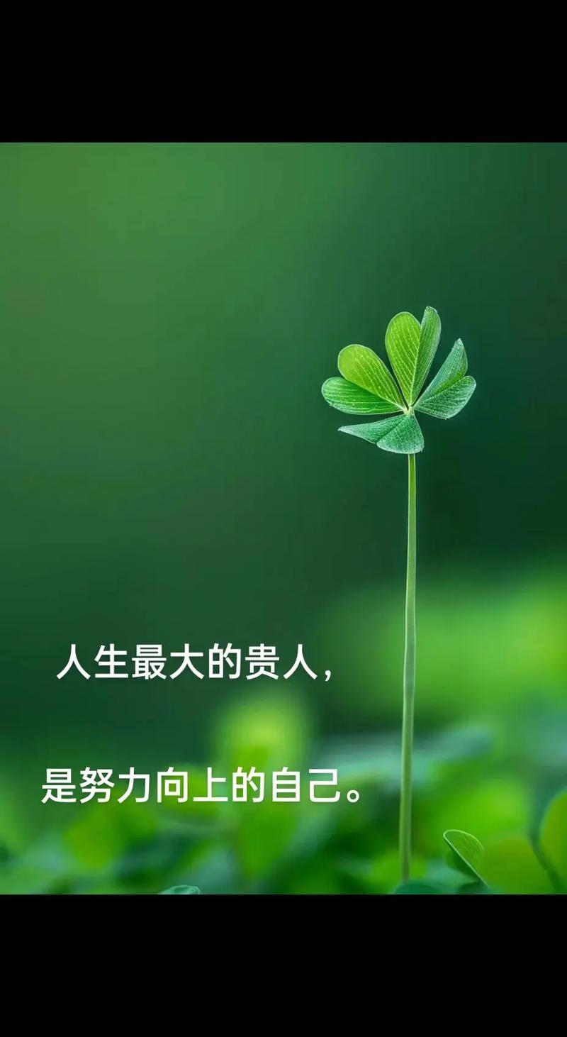 励志语录 最好的贵人，就是努力的自己  第1张