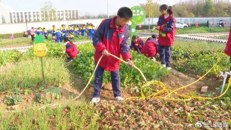 安远县东江源小学：劳动基地勤耕耘 绿意盎然喜丰收  第1张