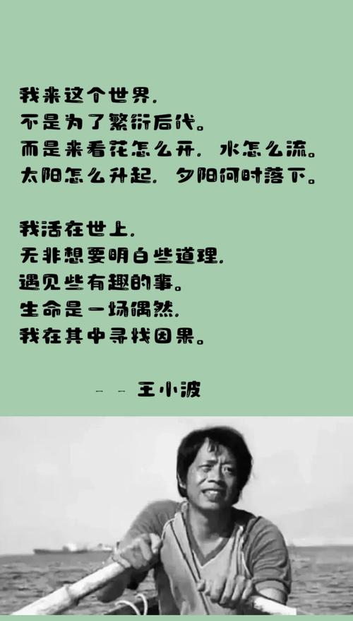 读完王小波这12句话，不再做沉默的大多数  第1张