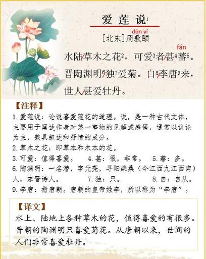 荷花为什么会“出淤泥而不染”，武汉初中生对照《爱莲说》去探秘  第1张